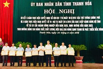 Sơ kết năm năm thực hiện Tái cơ cấu nông nghiệp tại Thanh Hoá